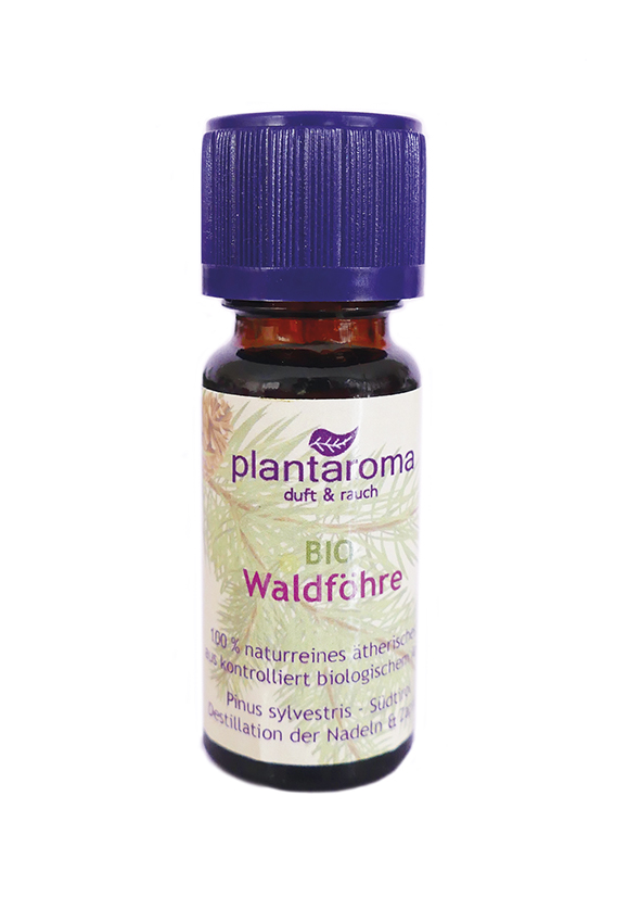 Waldföhre BIO, 100 % naturreines ätherisches Öl