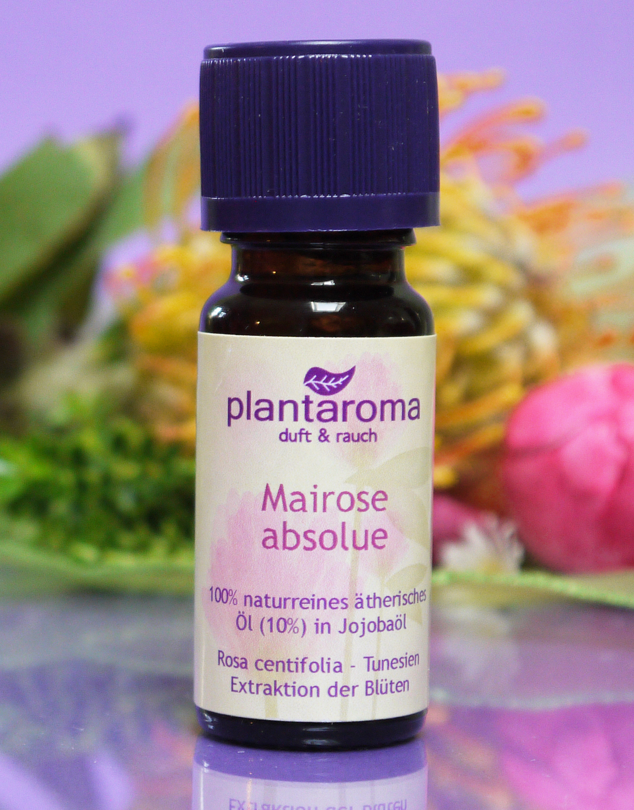 Mairose in 100 % naturreinem Jojobaöl