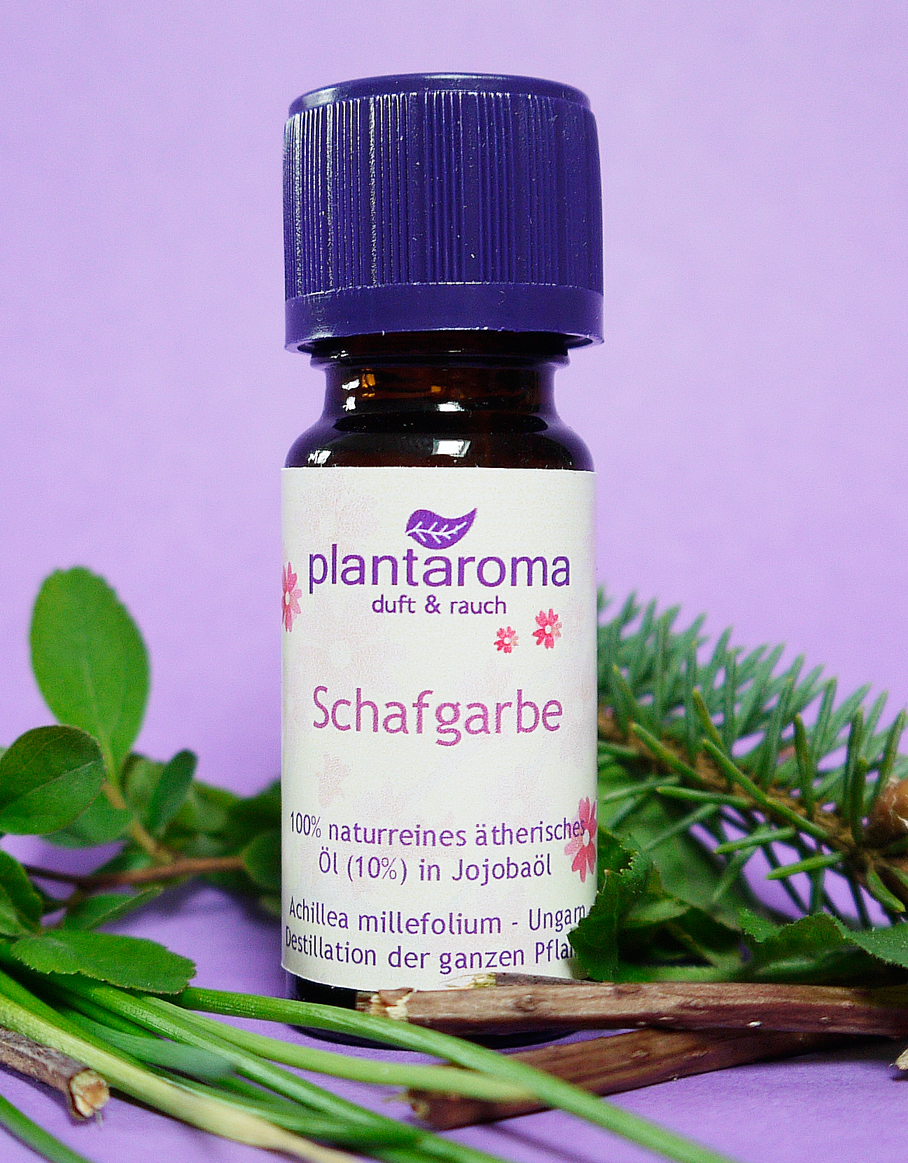 Schafgarbe in 100 % naturreinem Jojobaöl