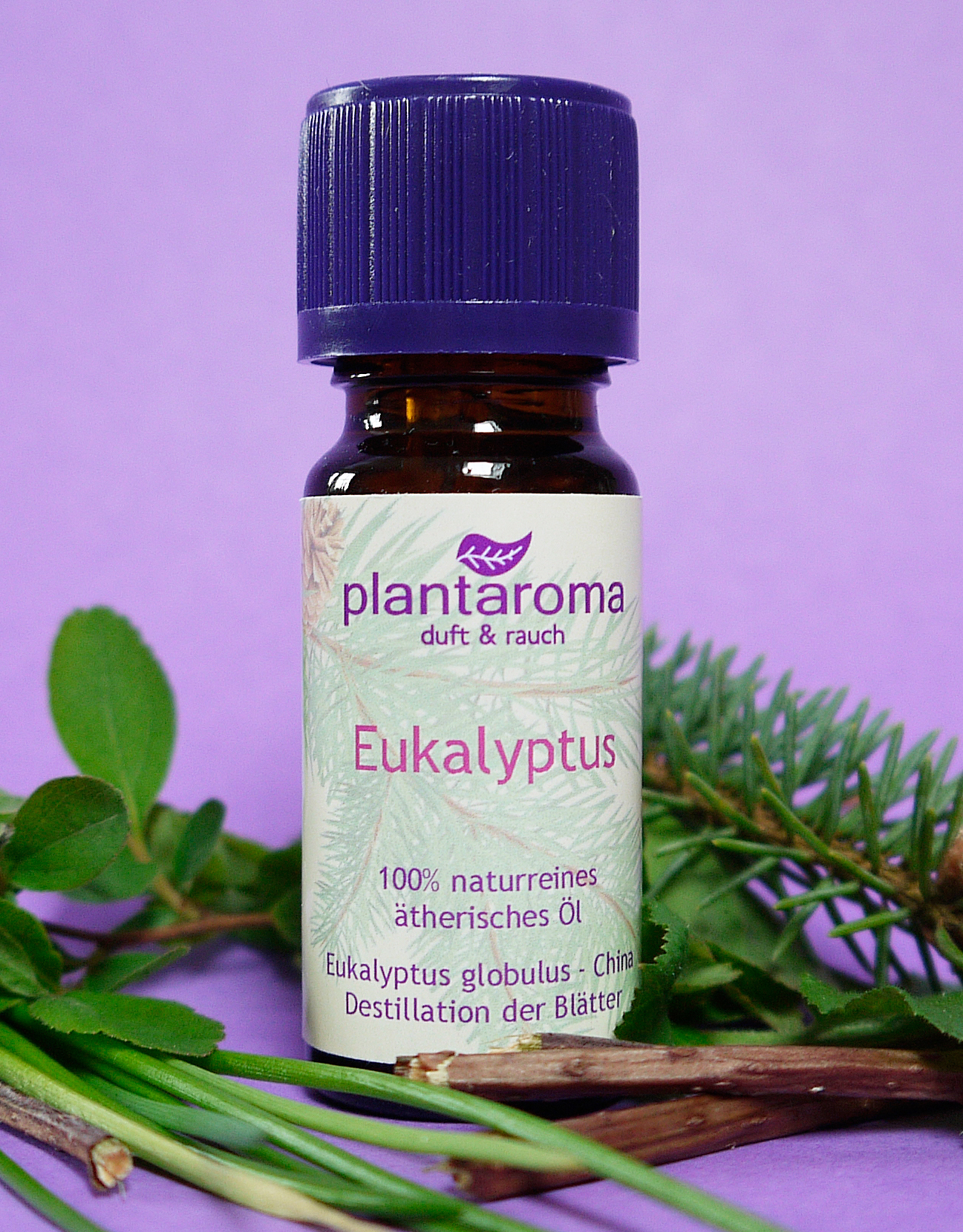 Eukalyptus, 100 % naturreines ätherisches Öl
