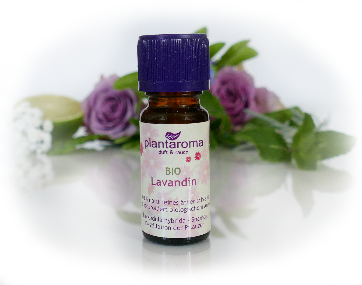 Lavandin BIO, 100 % naturreines ätherische