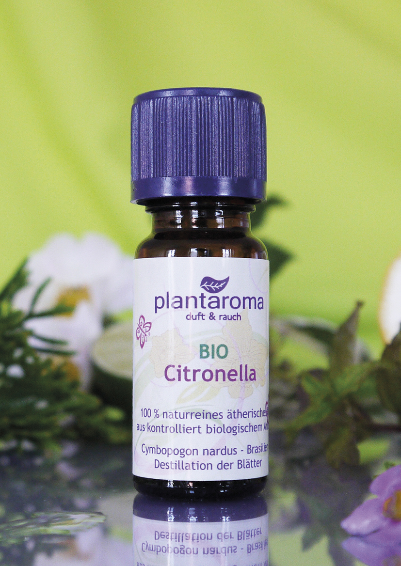 Citronella BIO, 100 % naturreines ätherisches Öl