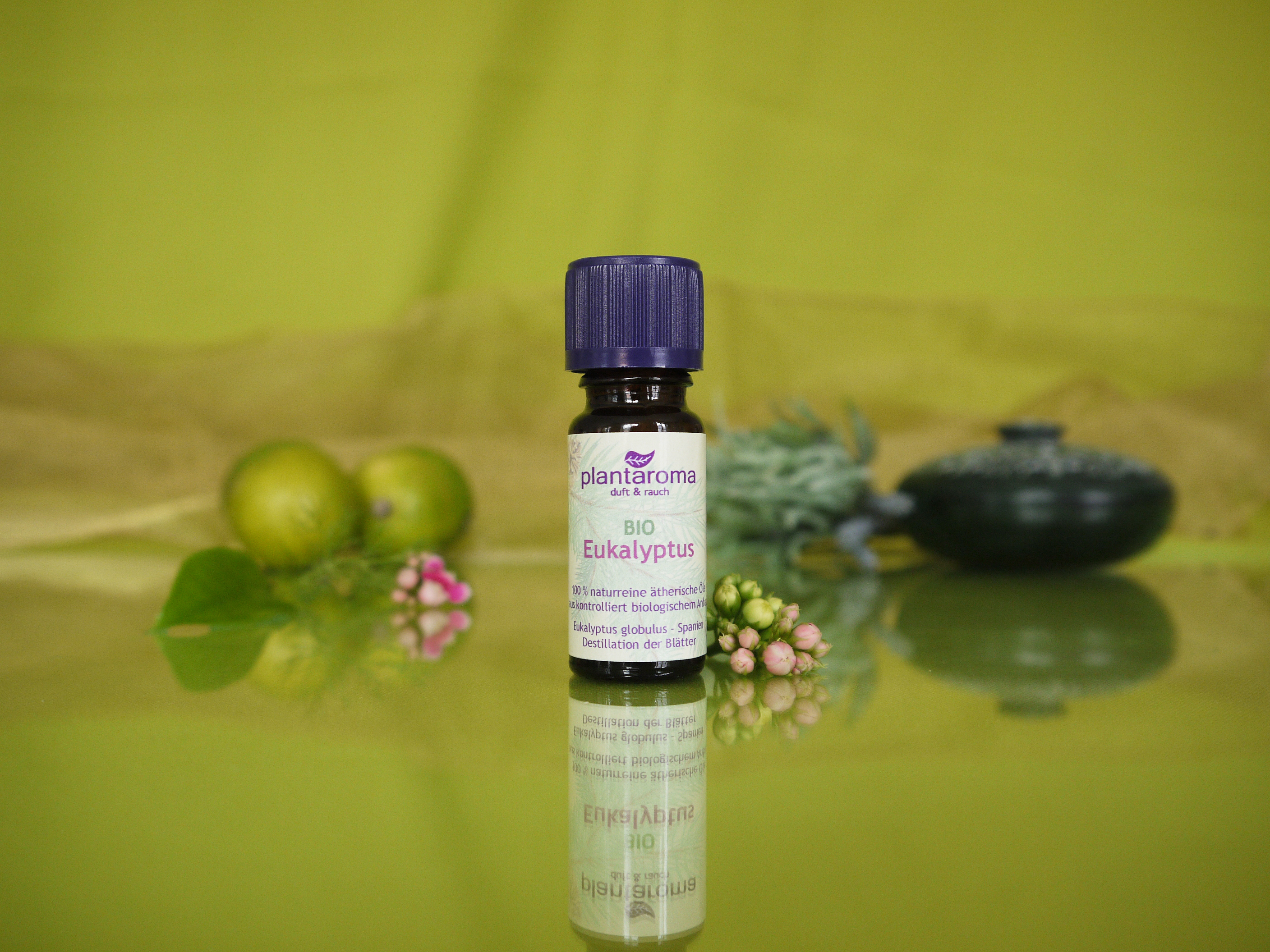 Eukalyptus BIO, 100 % naturreines ätherisches Öl