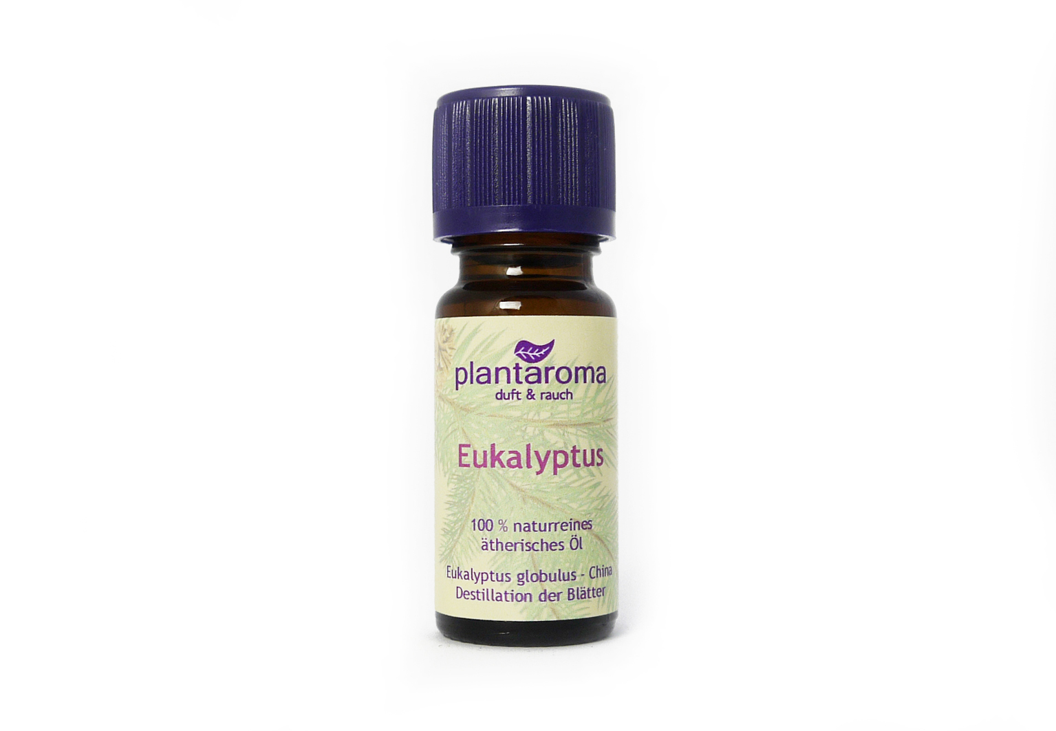 Eukalyptus, 100 % naturreines ätherisches Öl