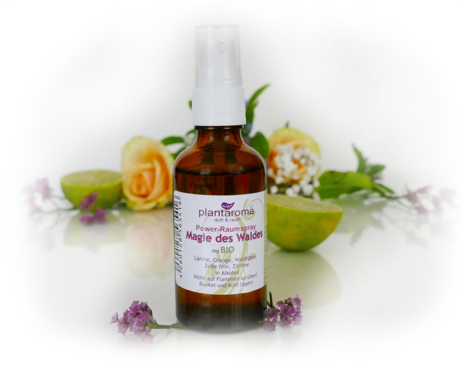 Power-Raumspray BIO - Magie des Waldes