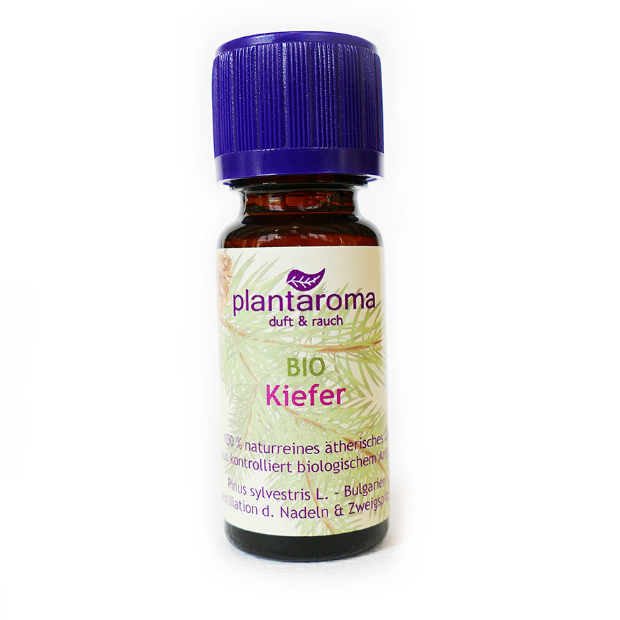 Kiefer BIO, 100 % naturreines ätherisches Öl