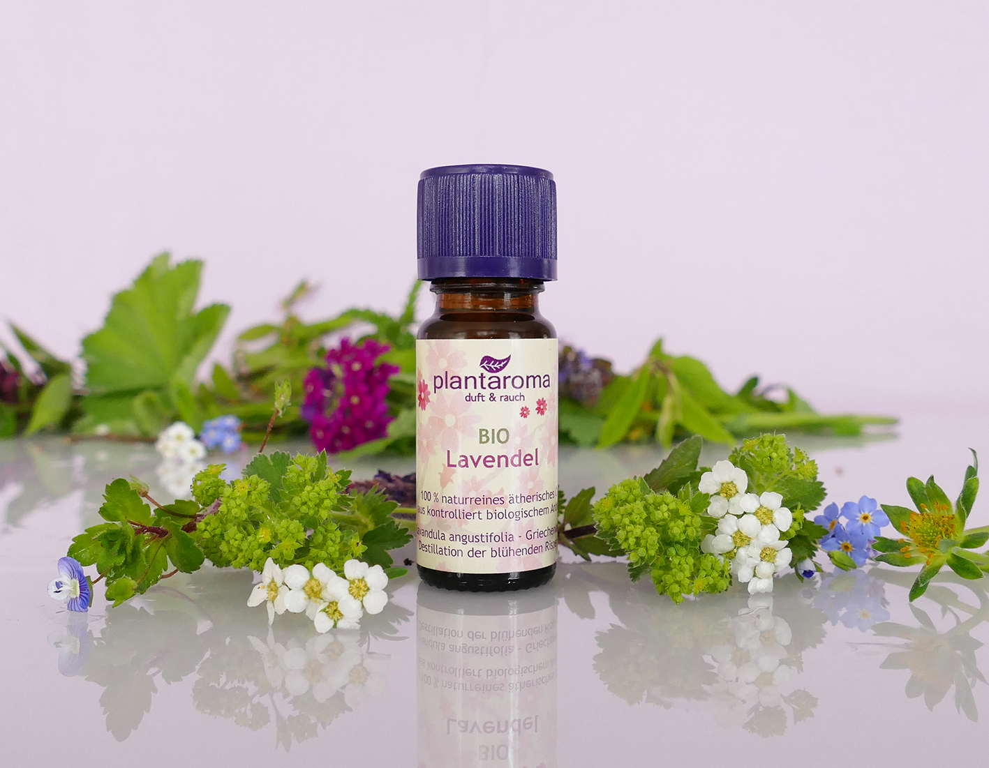 BIO Lavendel Griechenland, 100 % naturreines ätherisches Öl